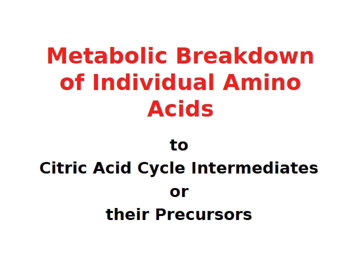 AA Metabolism II (7)