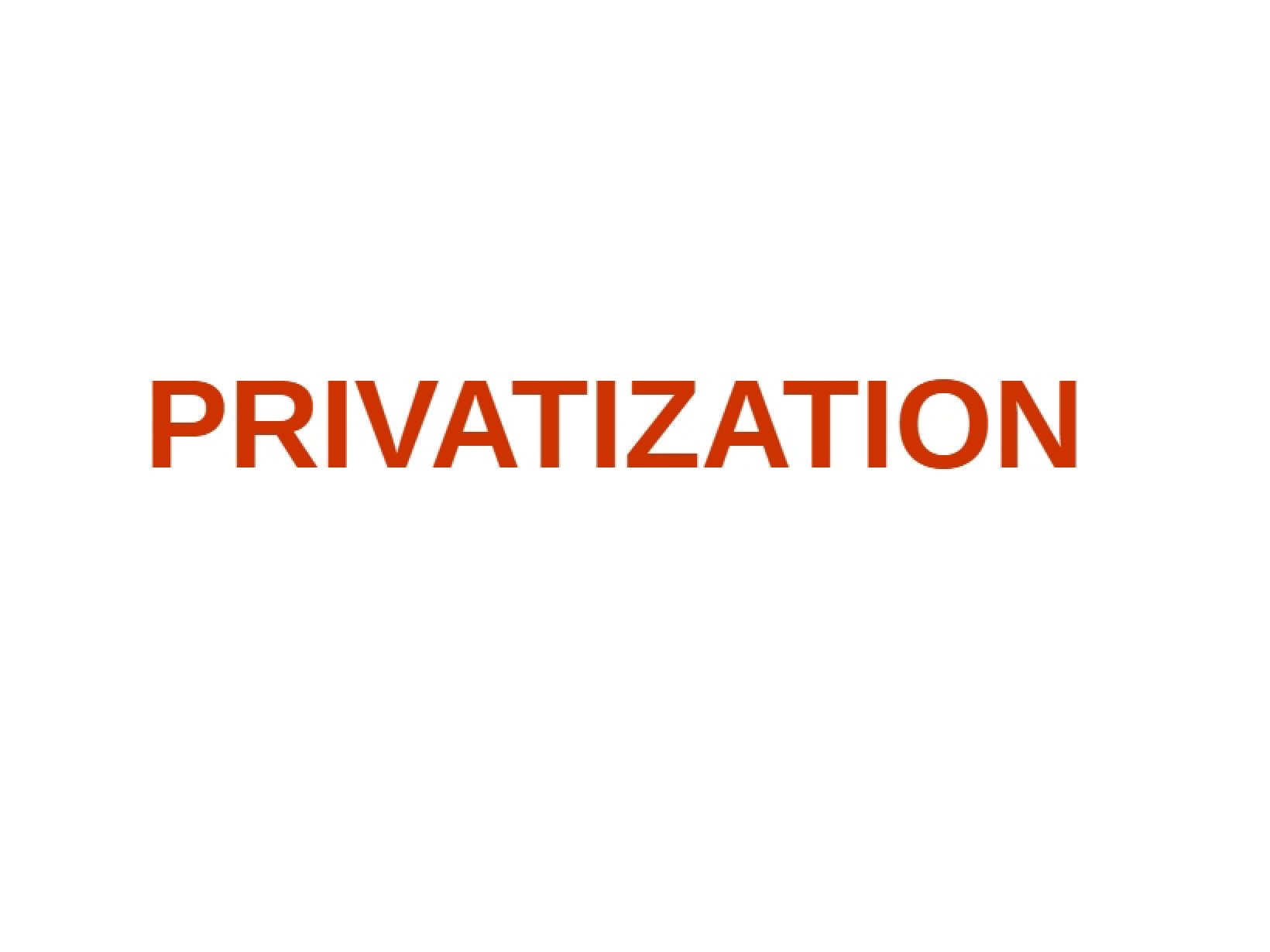 Lecture Notes Privatization