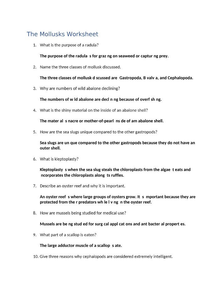 Worksheet for The Mollusks