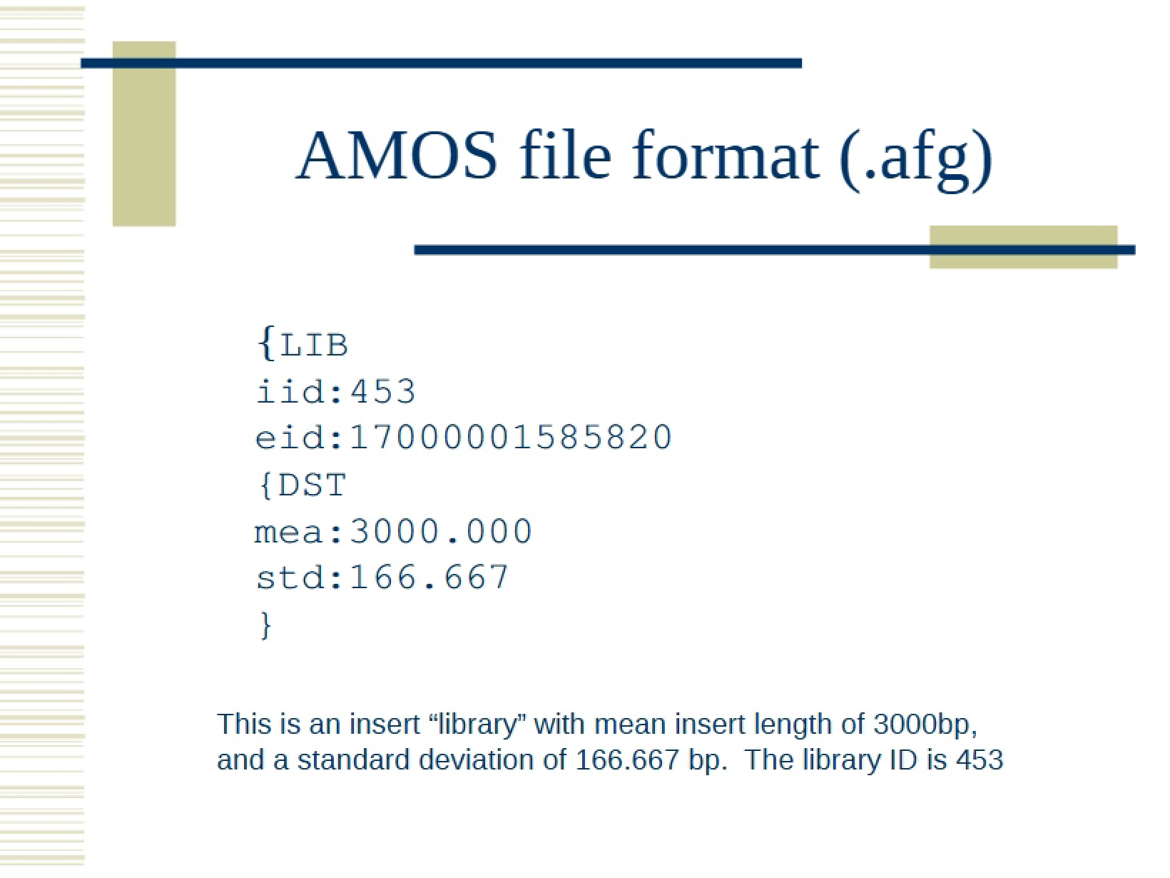 File Format AMOS