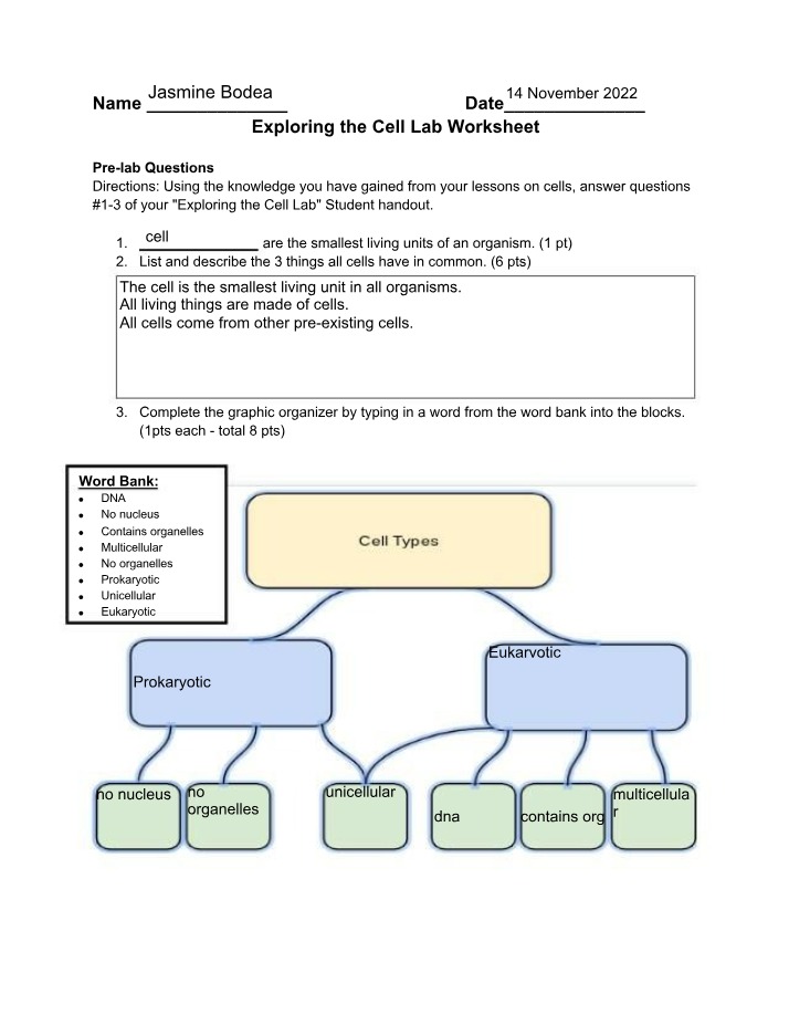 Worksheet for Exploring the Cell Lab