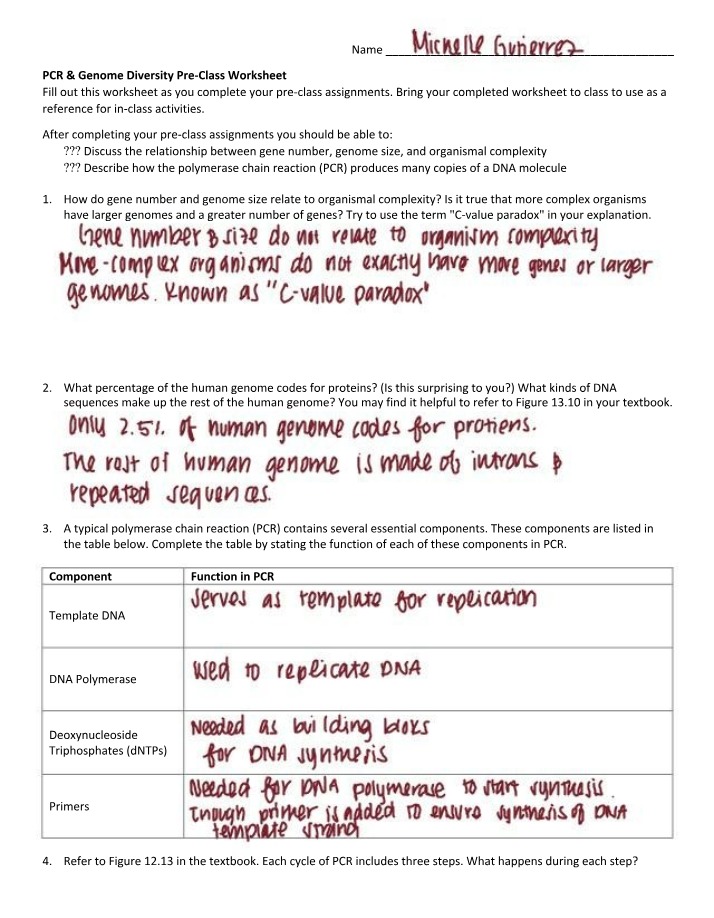 Pre-Class Worksheet - PCR & Genome Diversity