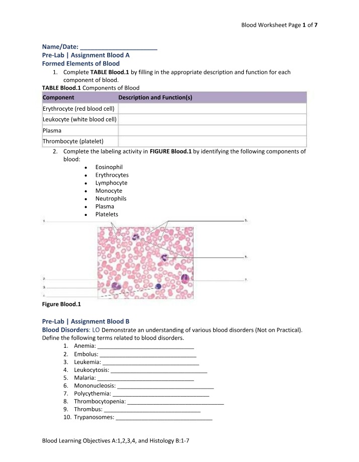 Worksheet on Blood