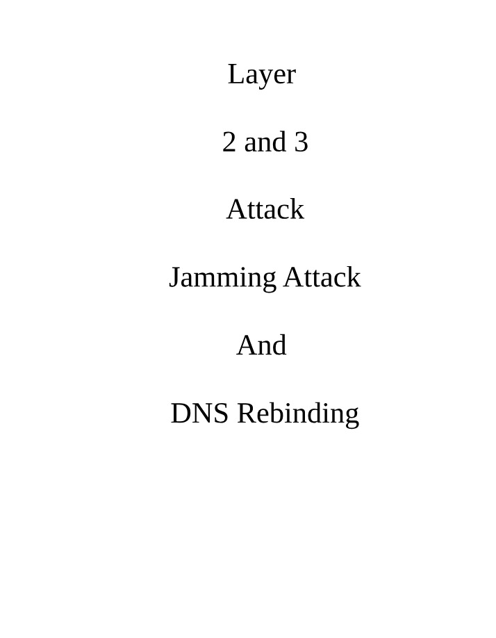 Wireless Networks - Jamming Attacks and DNS Defense