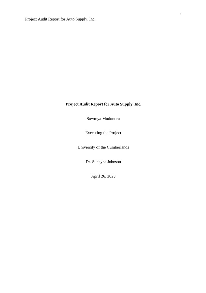 Project Audit Report - Auto Supply, Inc