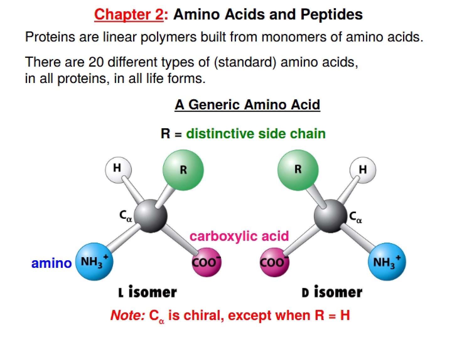 Proteins Overview (2)