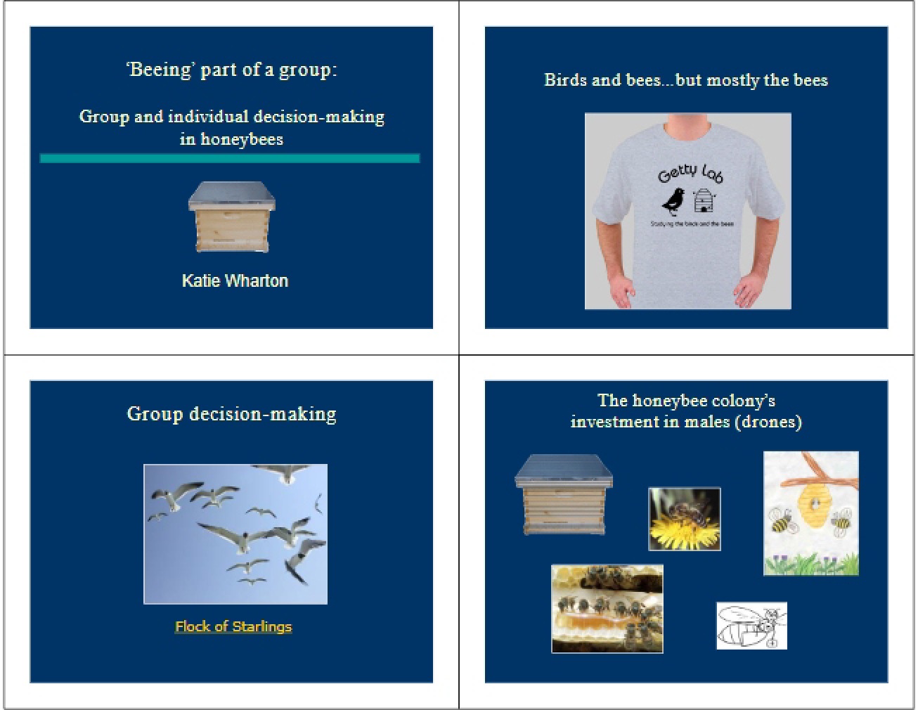 Animal Behavior Notes