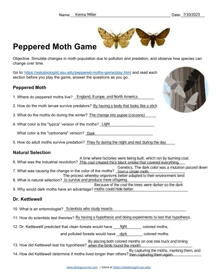 Study Guide for the Peppered Moth Game