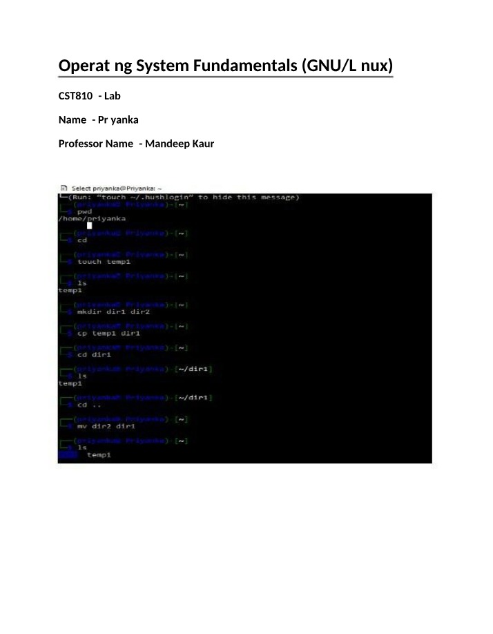 Lab 2 - Operating System Fundamentals (GNU-Linux)