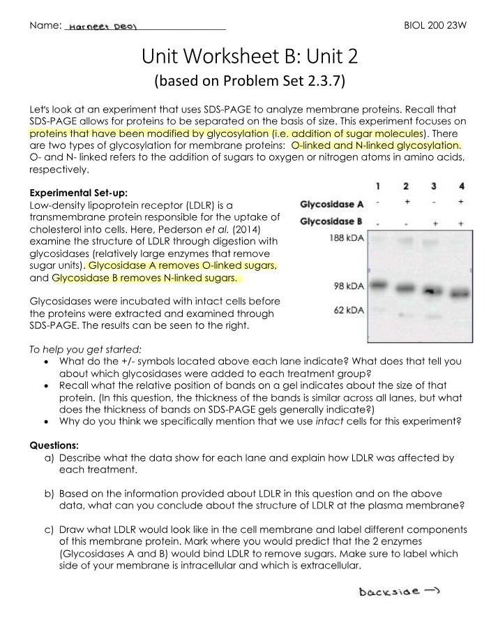 SDS-PAGE Glycosylation Analysis of Membrane Proteins