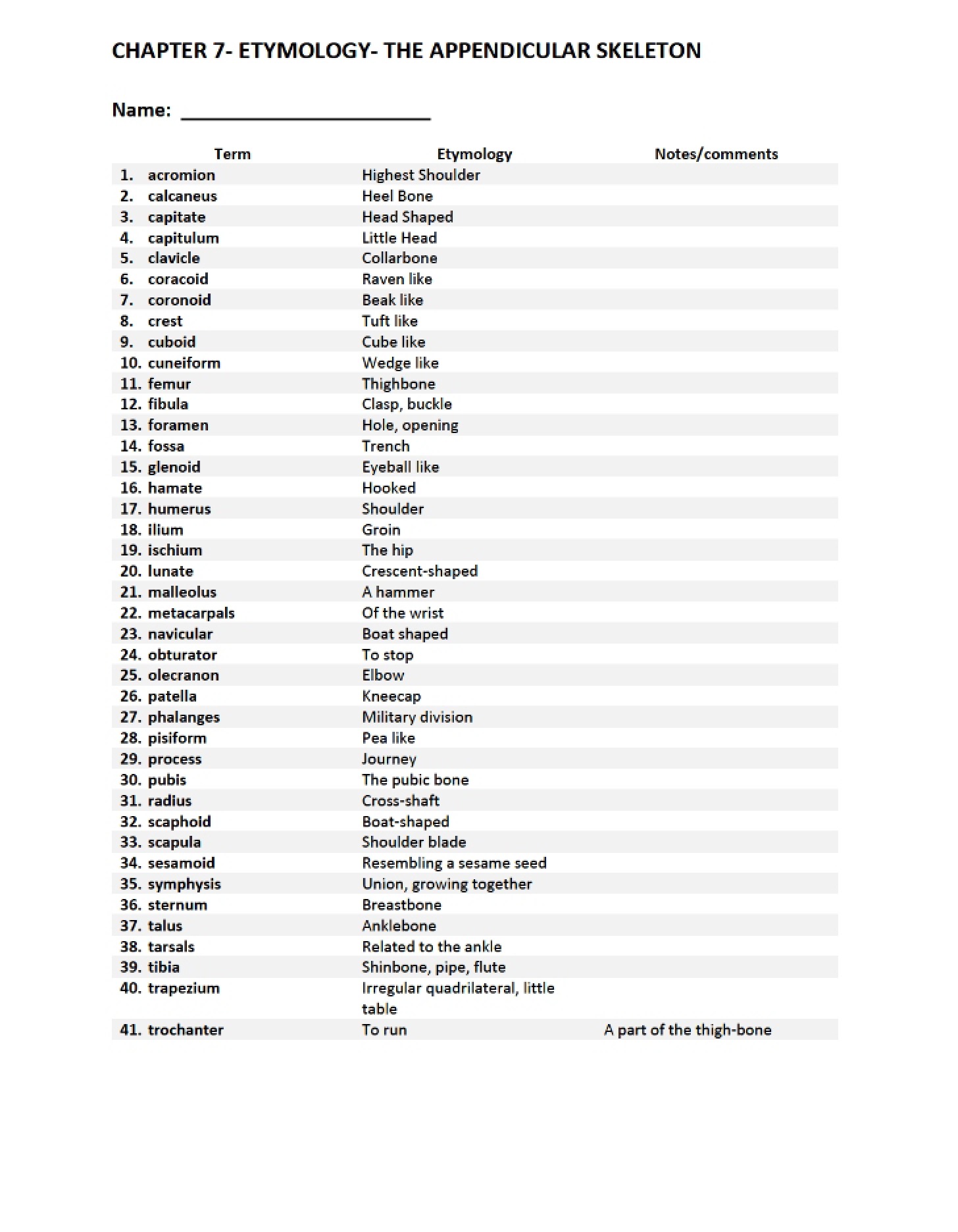 Appendicular Skeleton Etymology Chapter 7