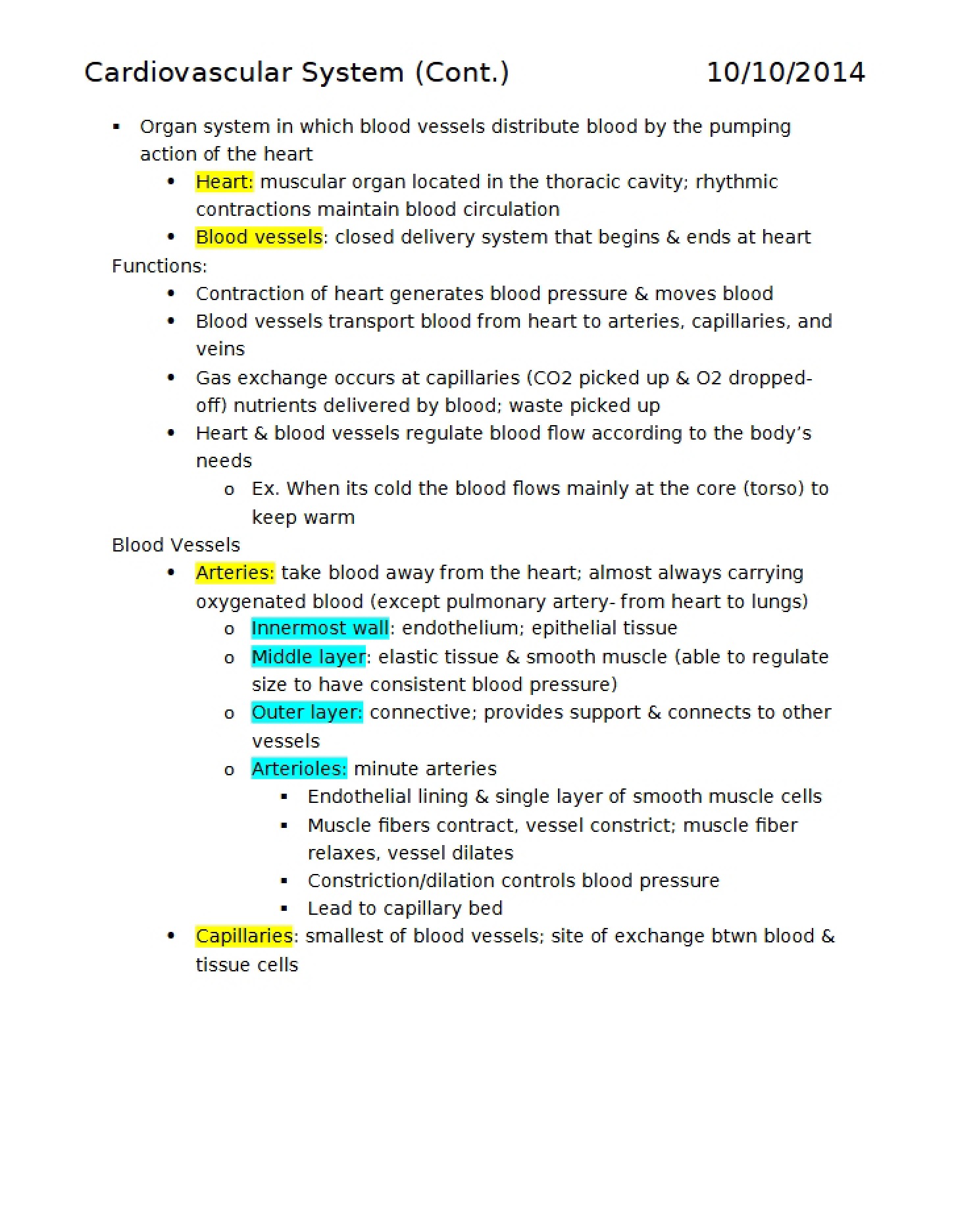 Cardiovascular System - 20 Pages