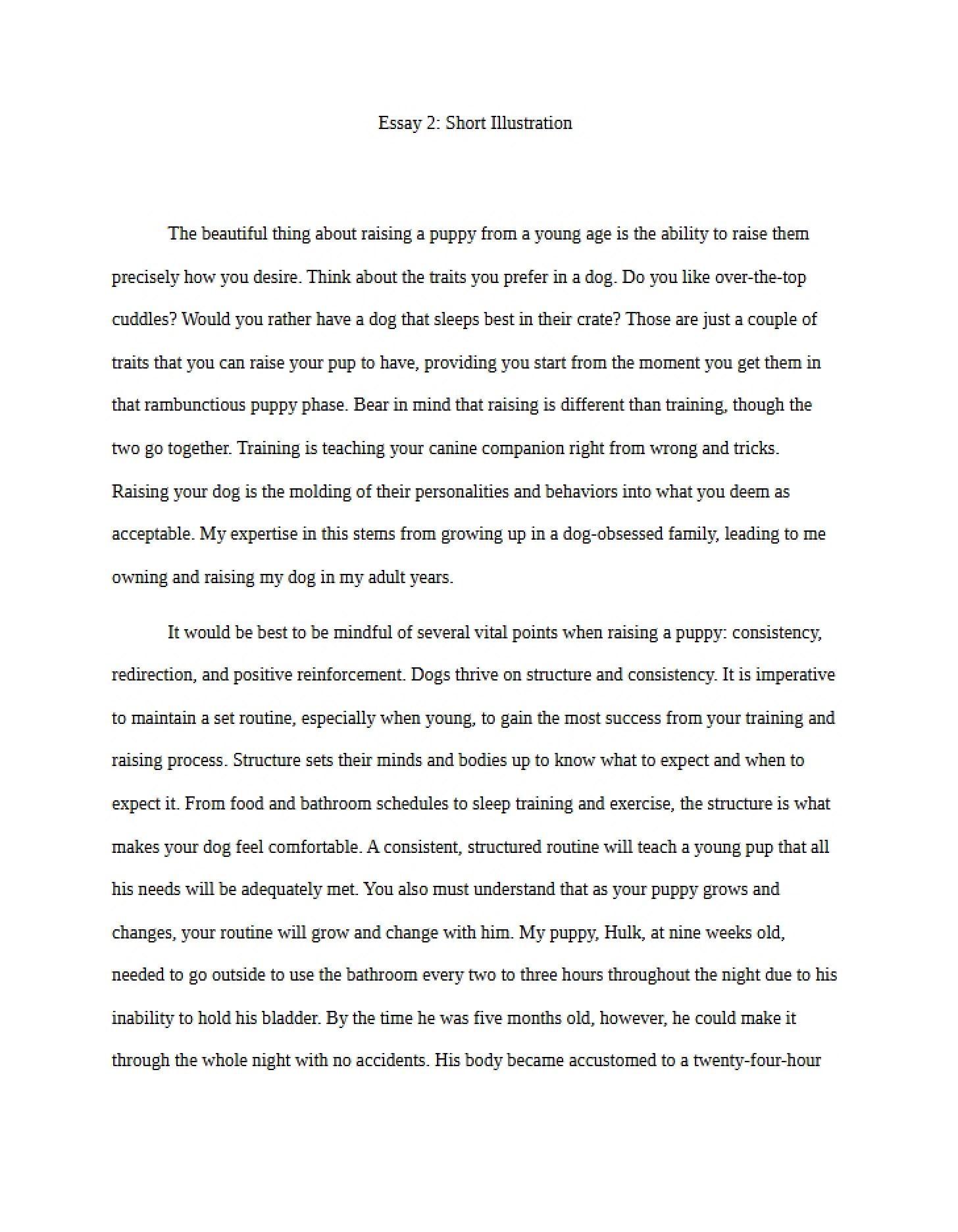 Short Illustration Essay 2