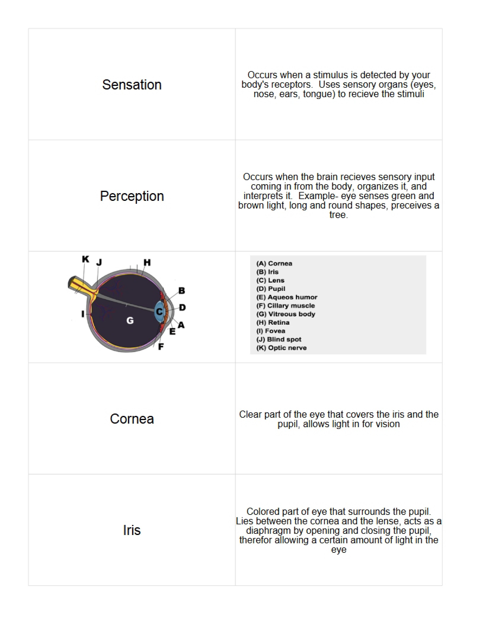 Academic Notes - 16 Pages