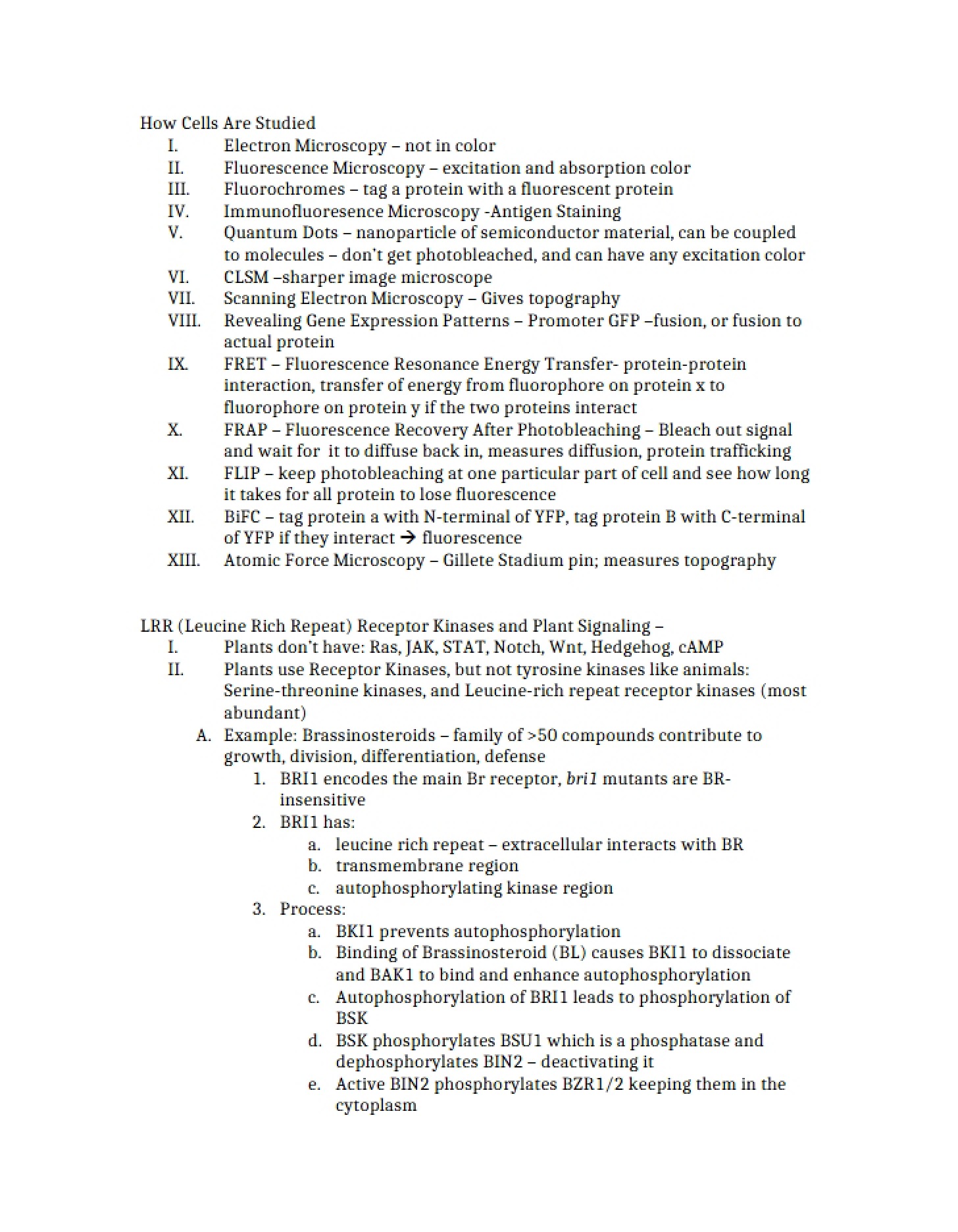 Lecture Notes Document
