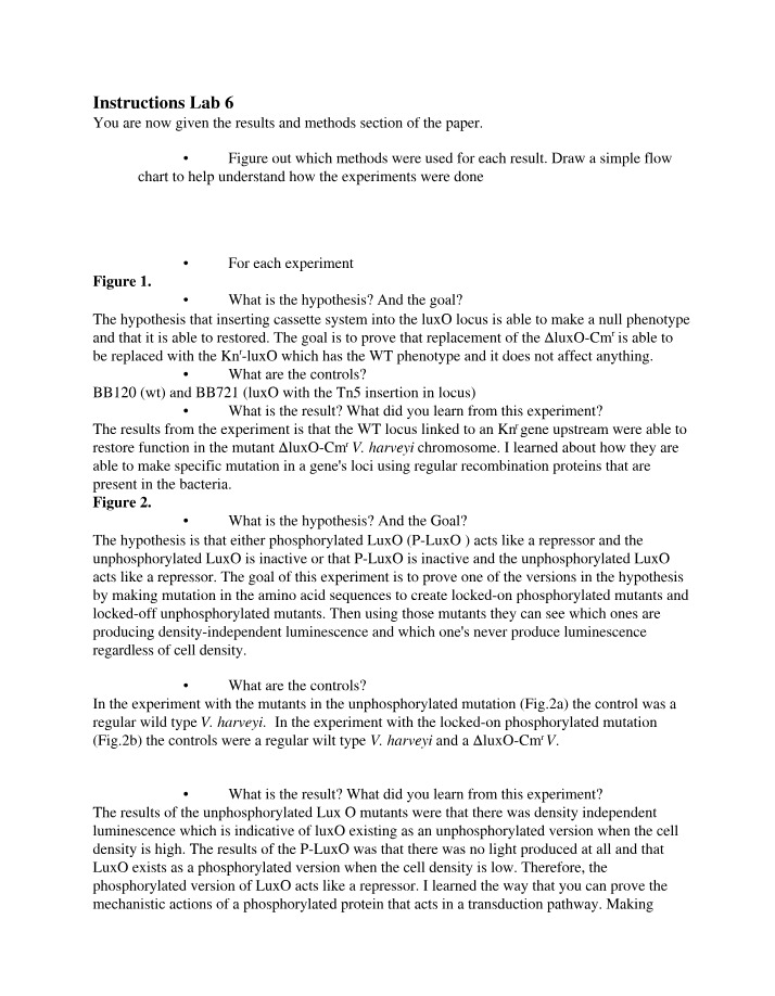 Instructions for Lab 6