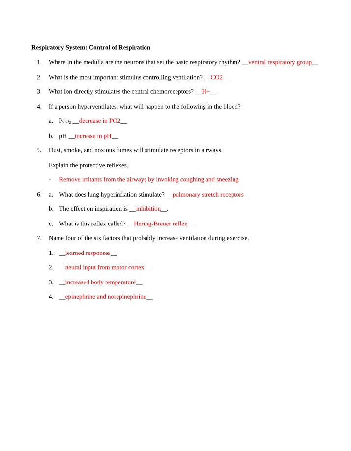 Worksheet - Respiratory Control of Respiration