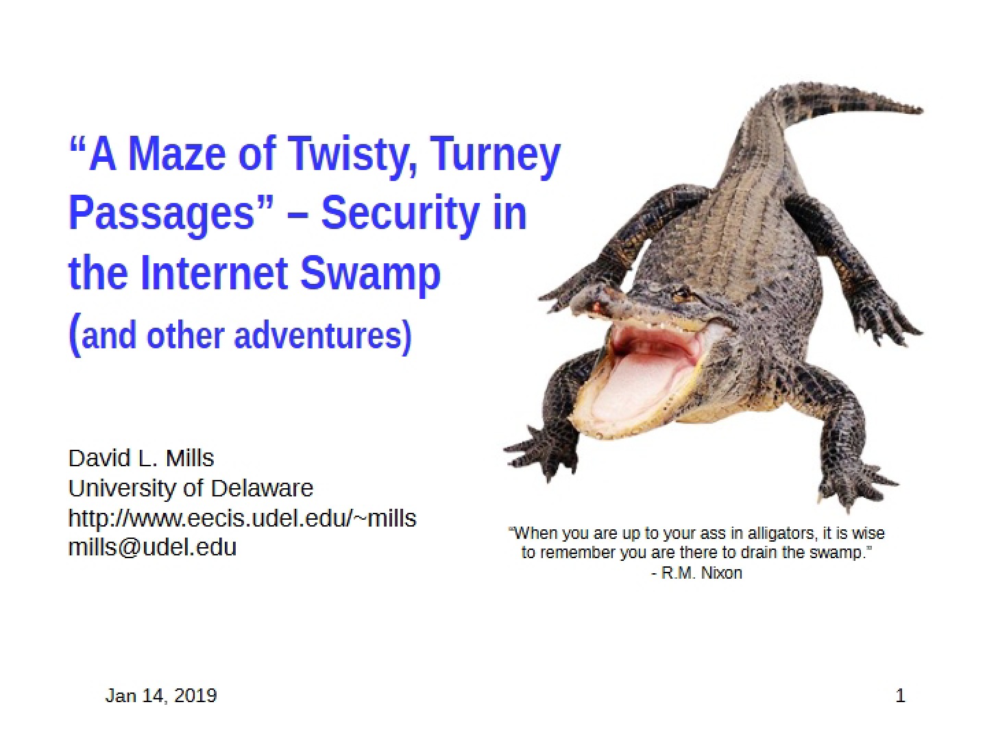 Internet Swamp Security