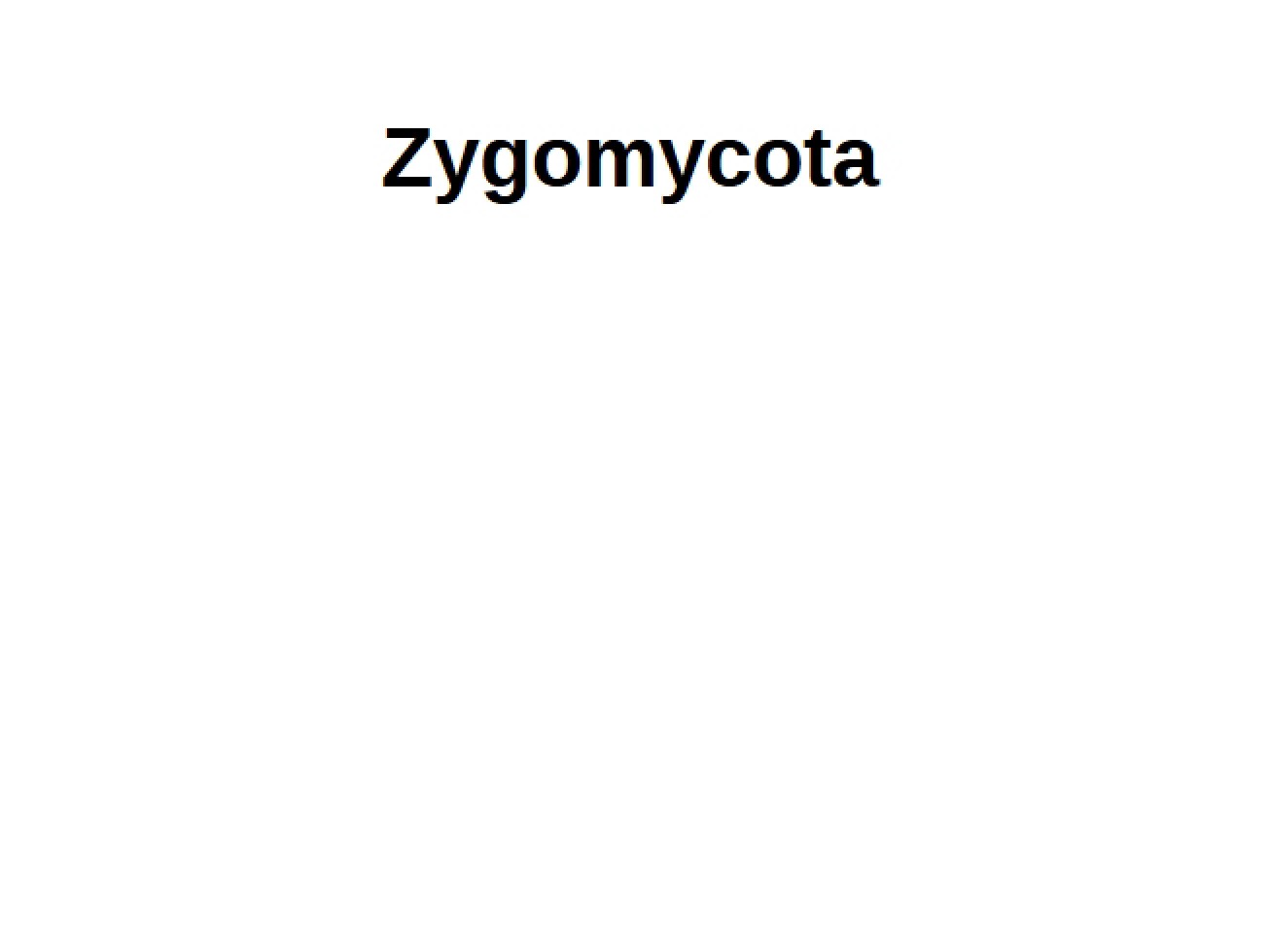 Overview of the Zygomycota
