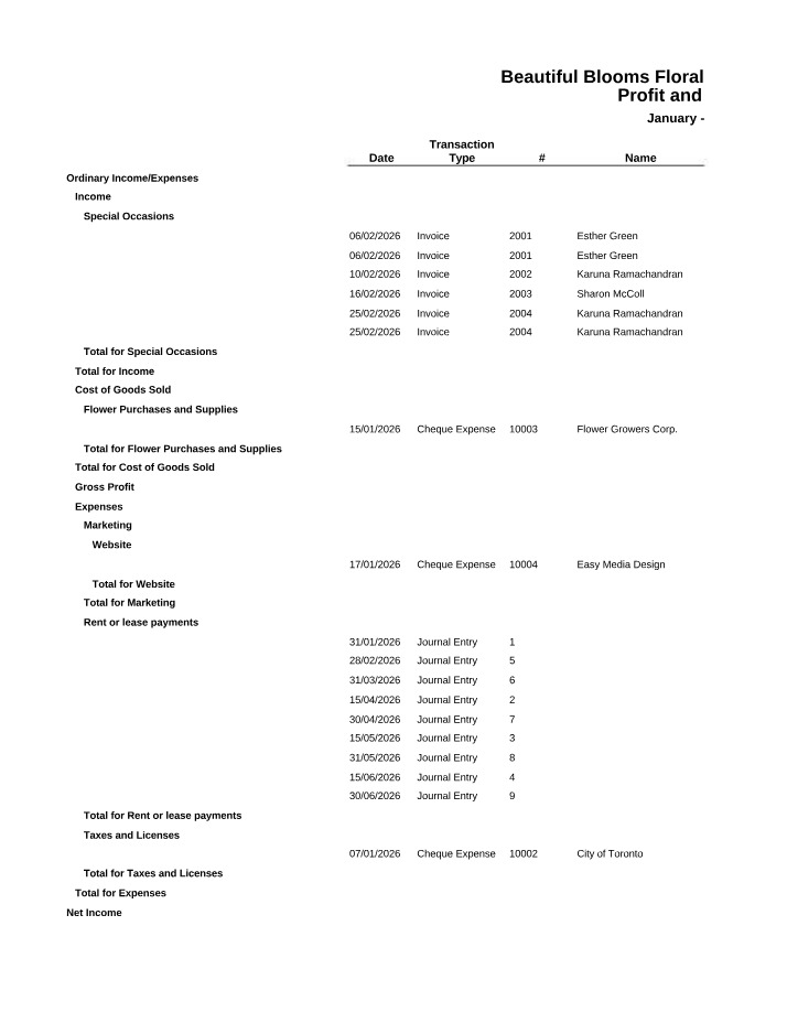 Profit and Loss Detail for Chapter 3