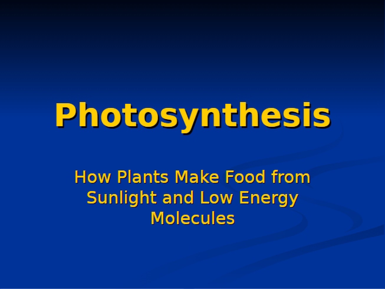 Photosynthesis Process