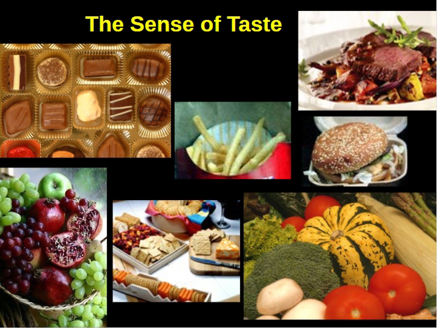 Taste Sense
