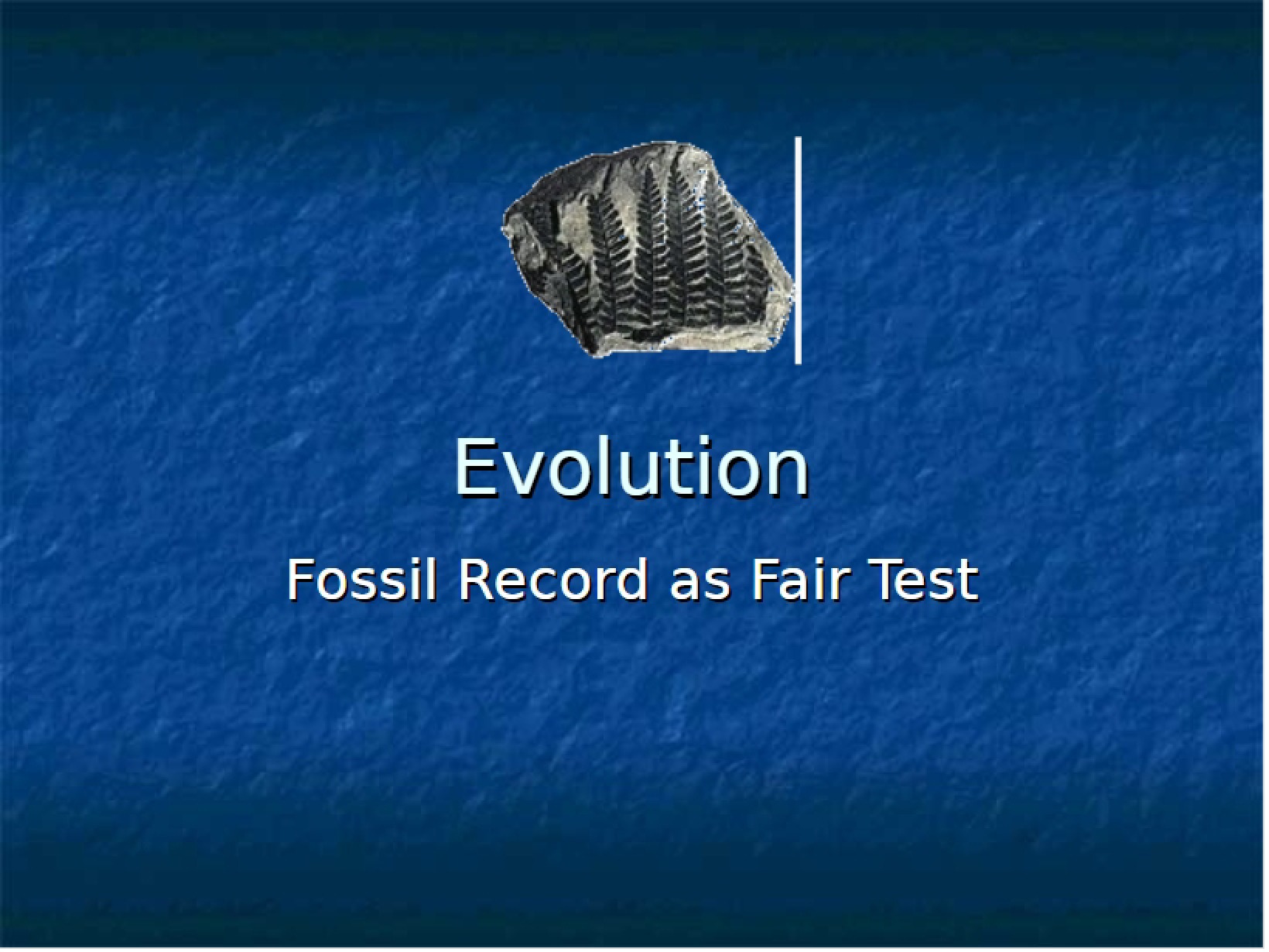 Fossil Record as Evolution Test