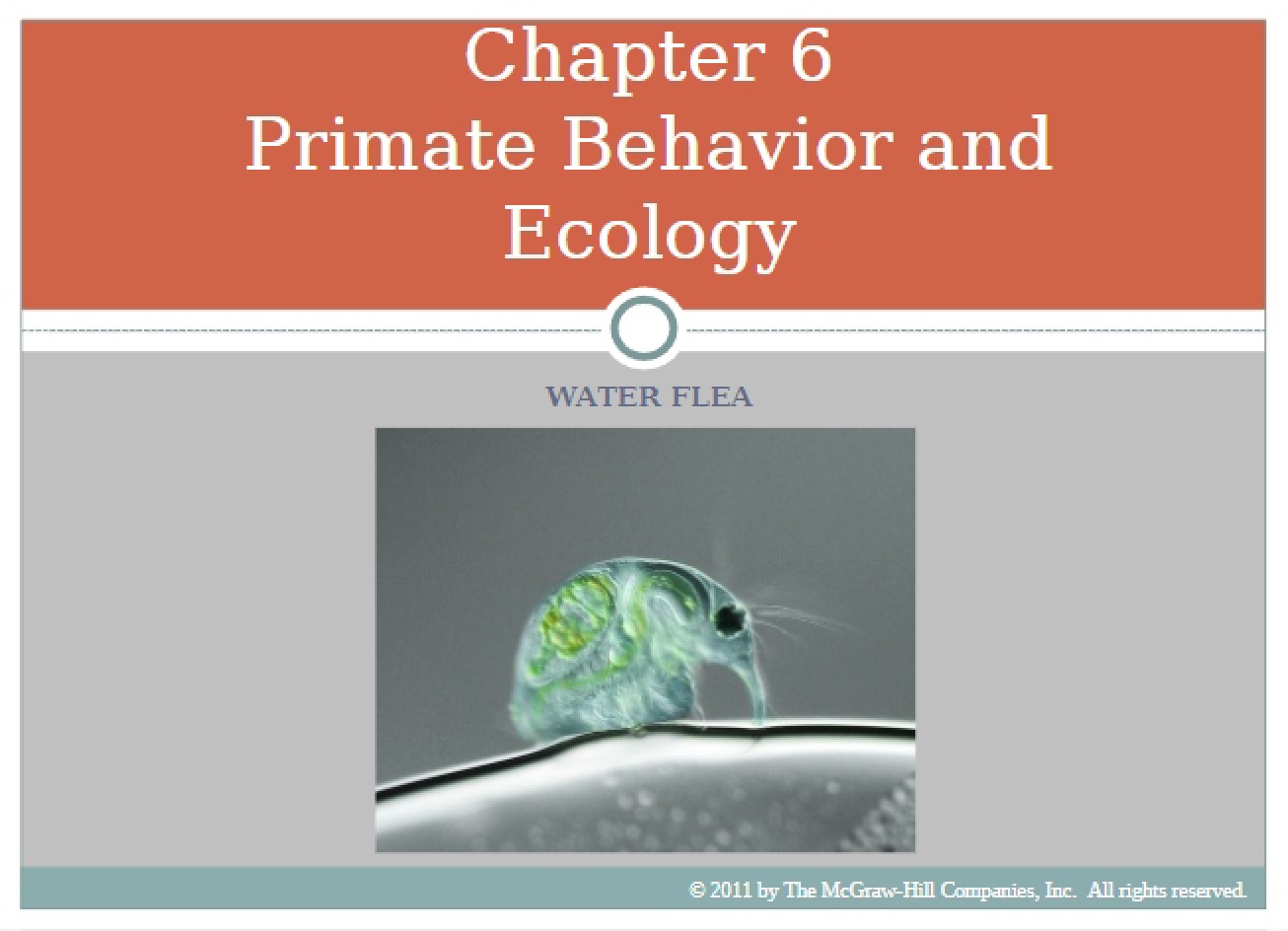 Behavior and Ecology of Primates