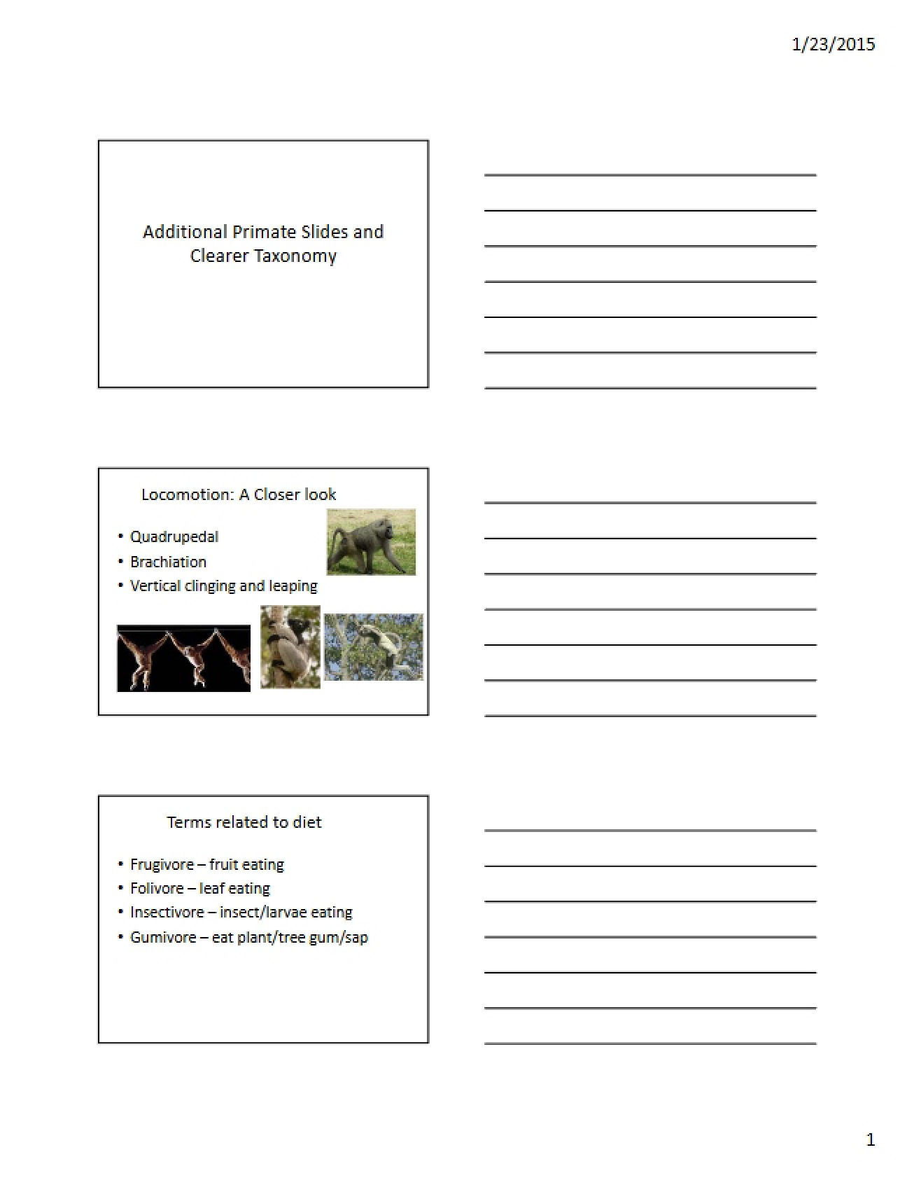 Clearer Taxonomy and Additional Primate Slides