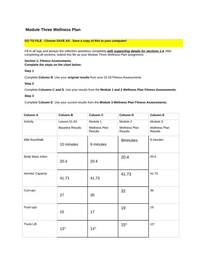 Wellness Plan for Module Three