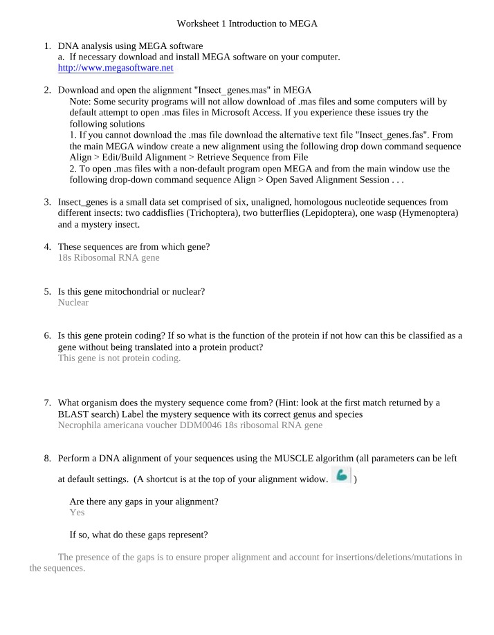 DNA Analysis Worksheet using MEGA Software
