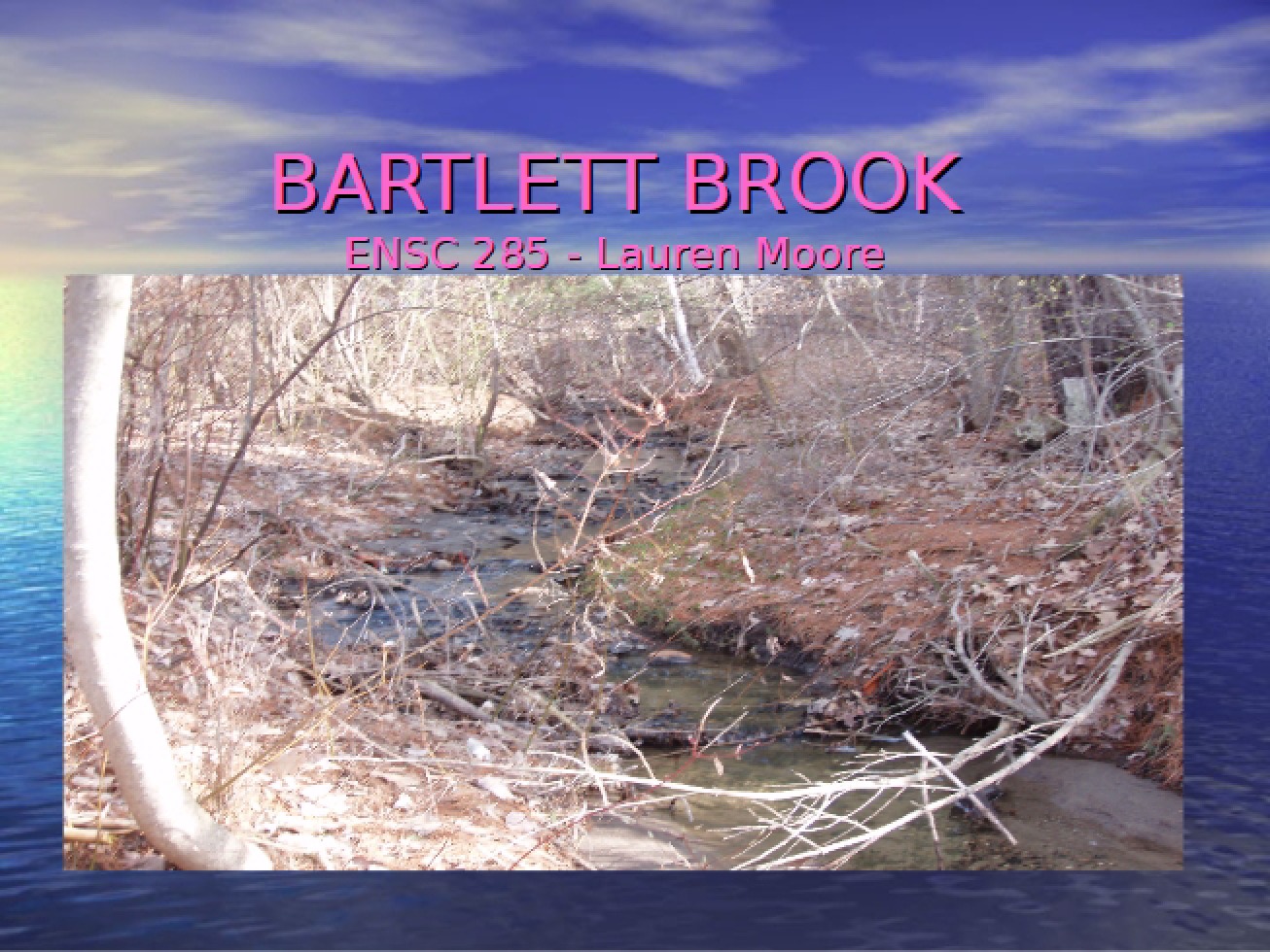 Bartlett Brook Study