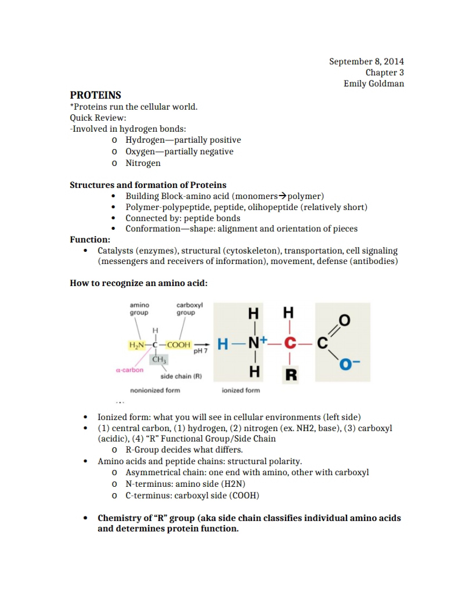 Protein Structures