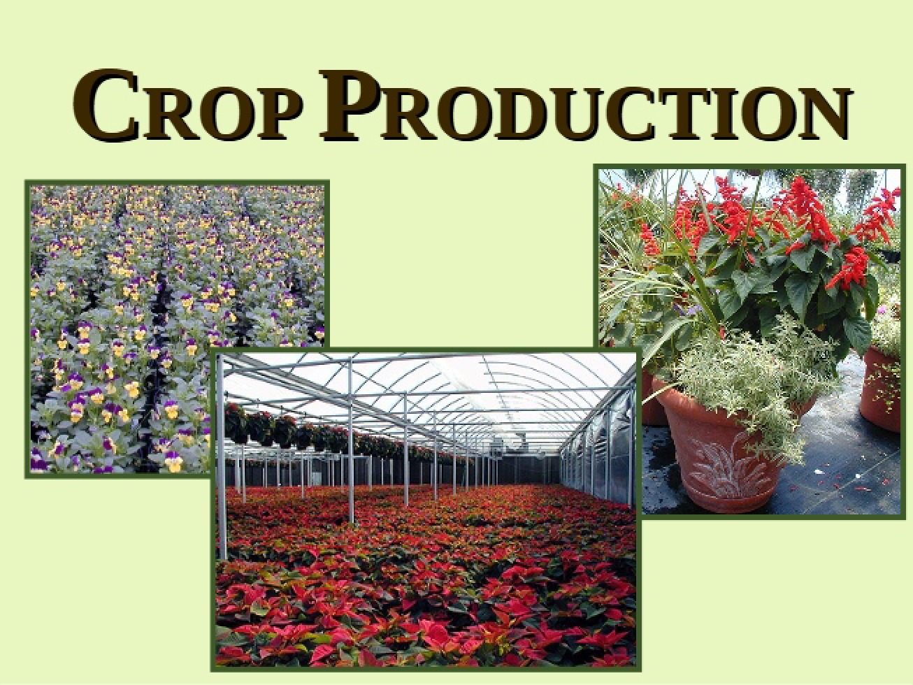 Crop Production V - HORT 4040