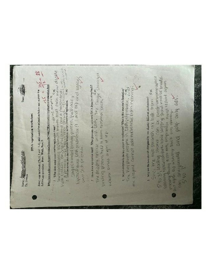Worksheet on DNA Replication