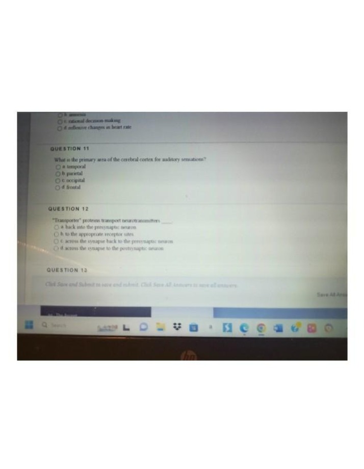 PSYC410 Lecture Notes