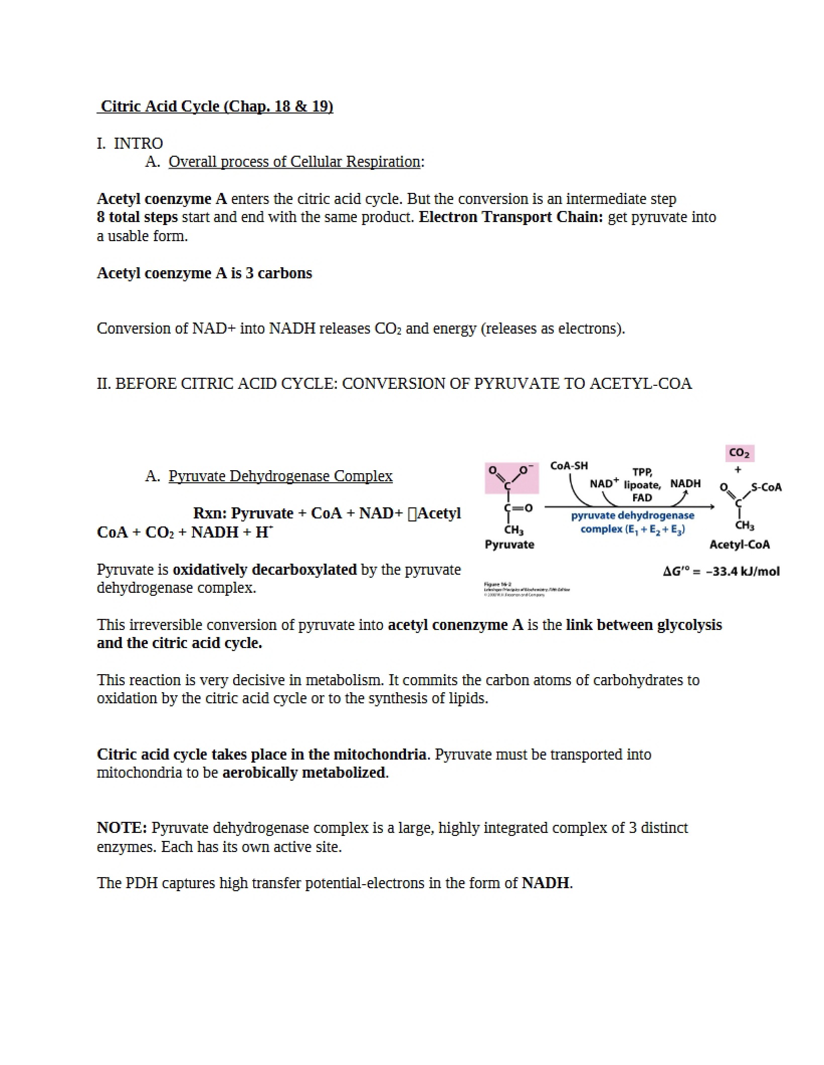 Cycle of Citric Acid