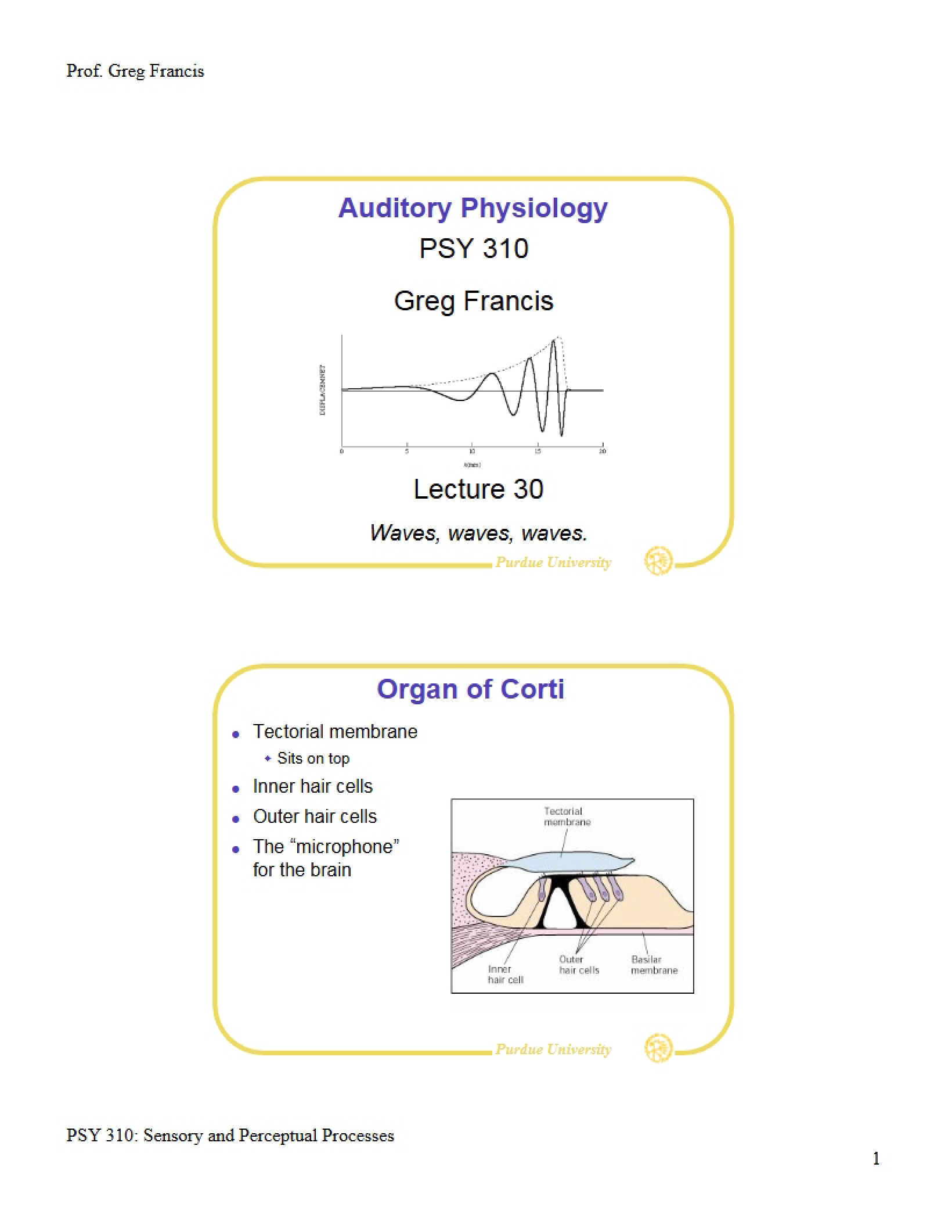 Physiology of the Auditory System