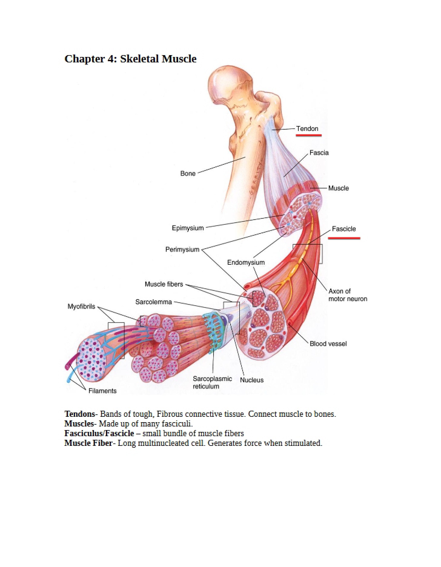 Examination 03