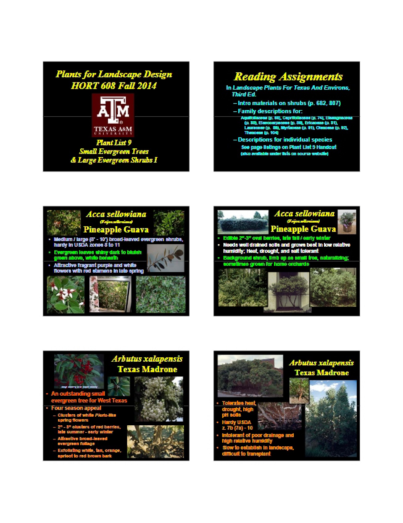 Ninth Plant List for Plants in Landscape Design