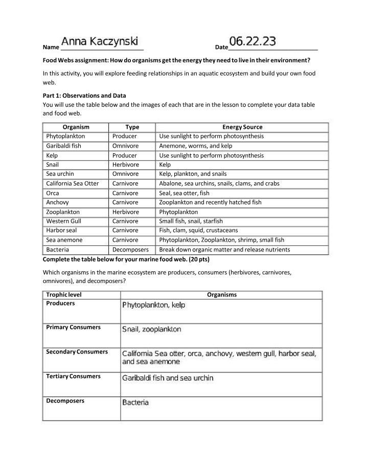 Assignment for Food Webs