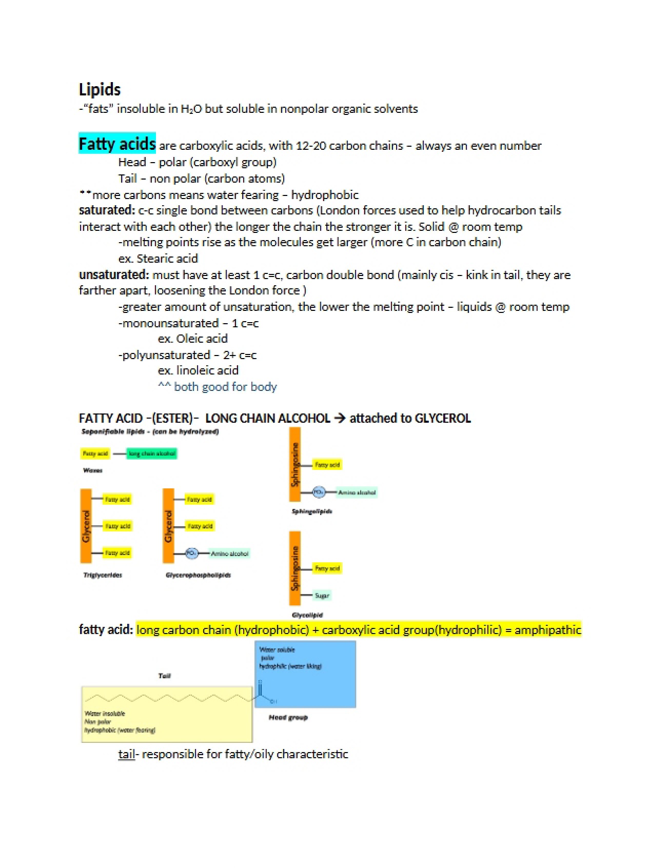 Lipids Overview