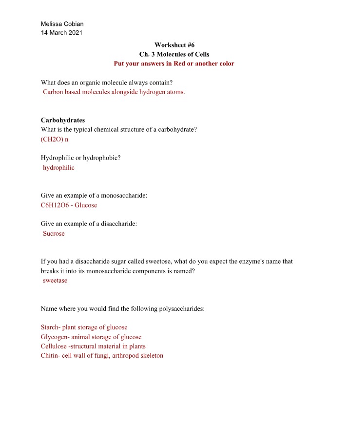 Worksheet on Organic Molecules