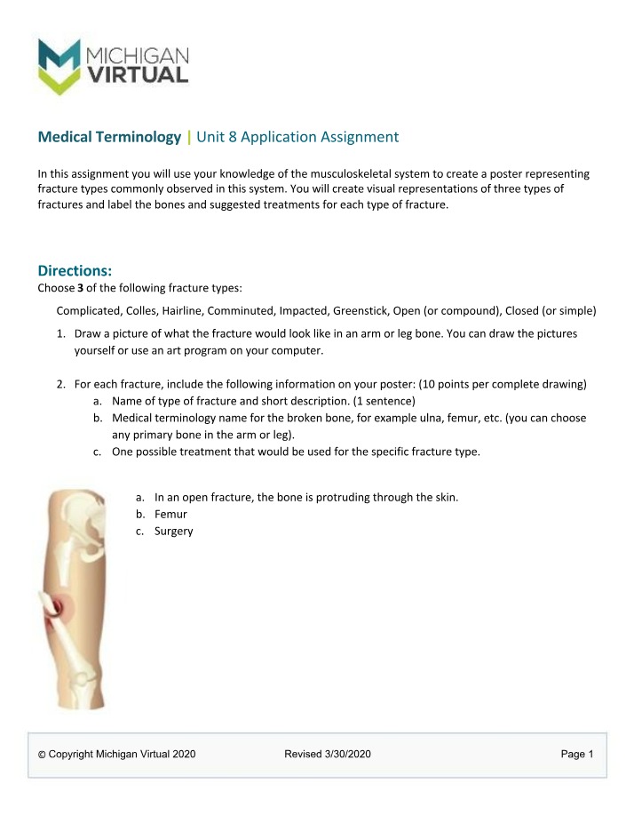 Fracture Types in the Musculoskeletal System - A Visual Guide