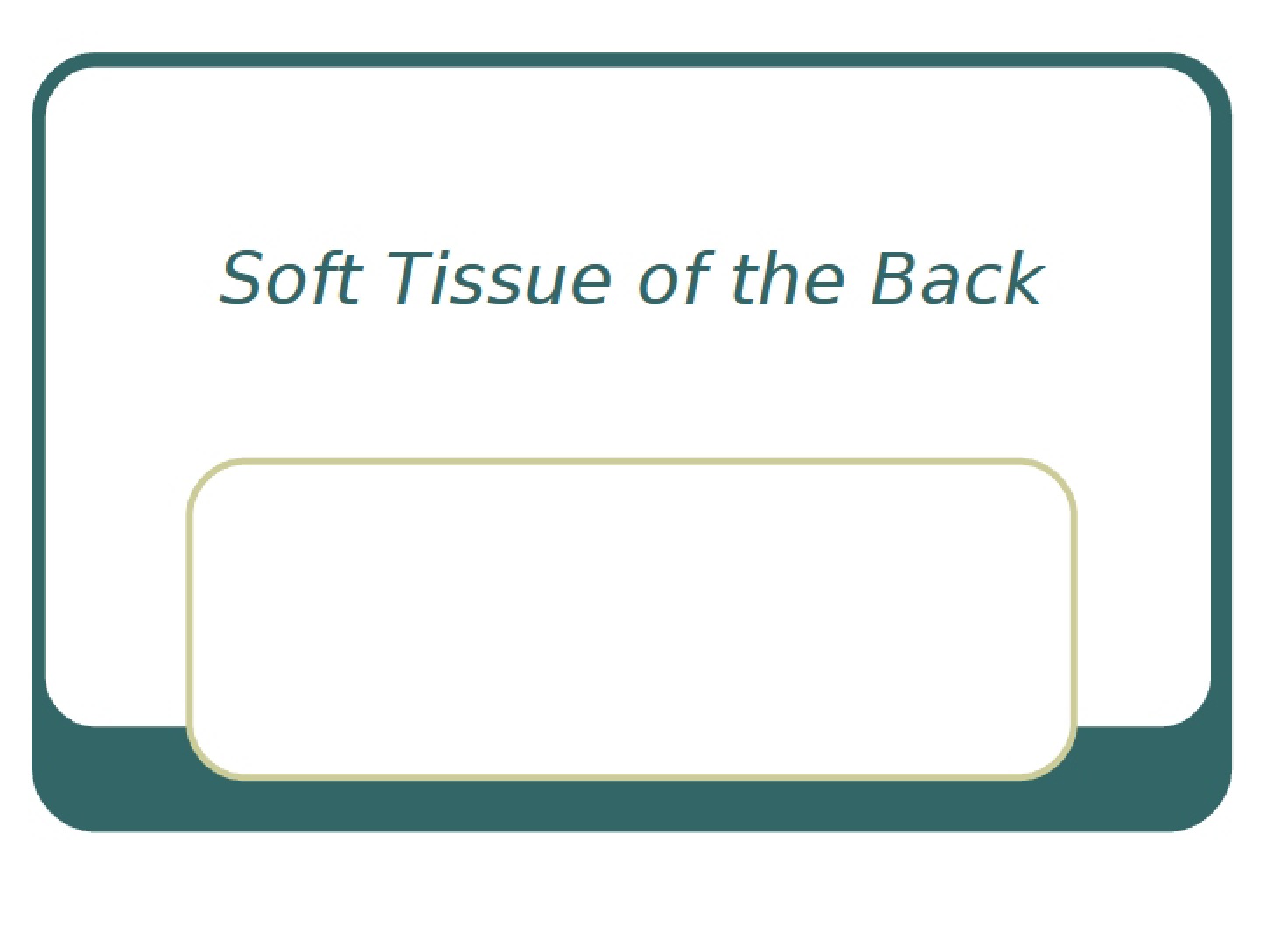 Back Soft Tissue