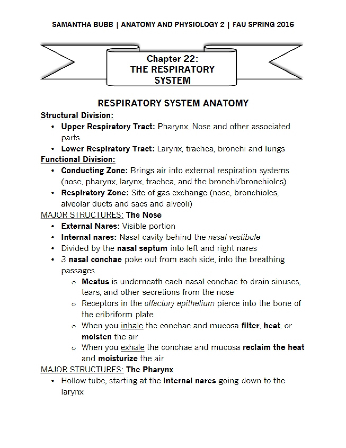 Respiratory System - Chapter 22 (1)