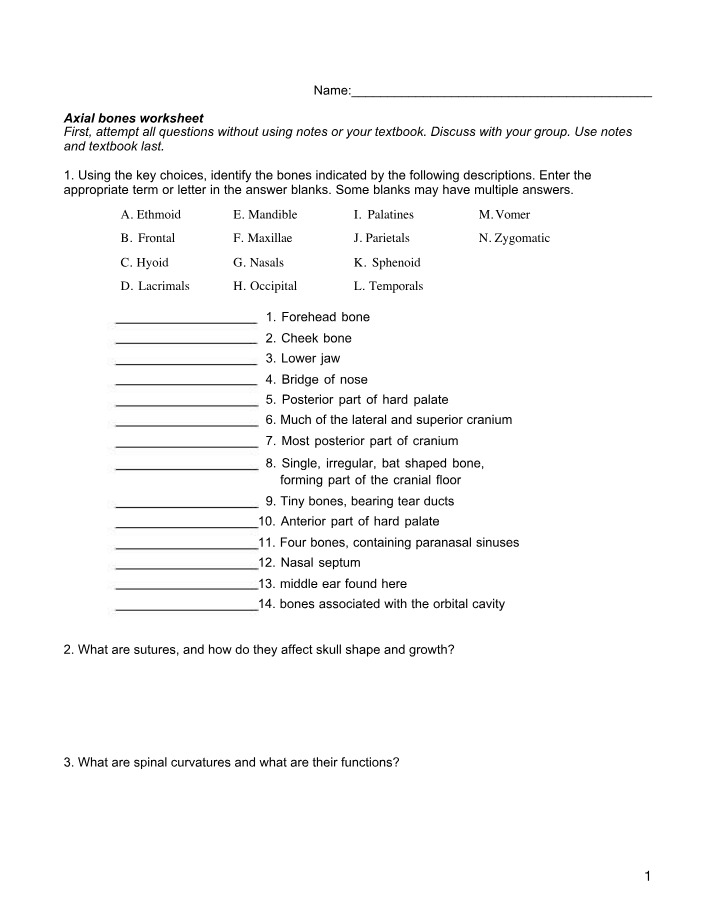 Worksheet on Axial Bones