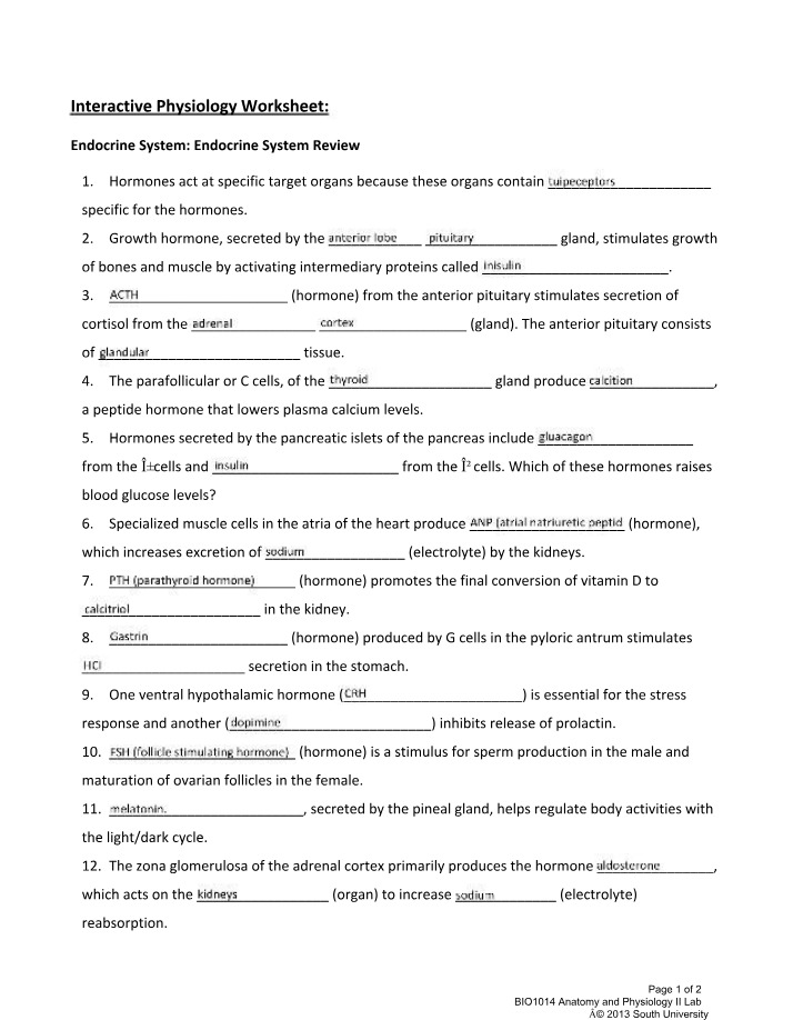 Worksheet on Endocrine System Review
