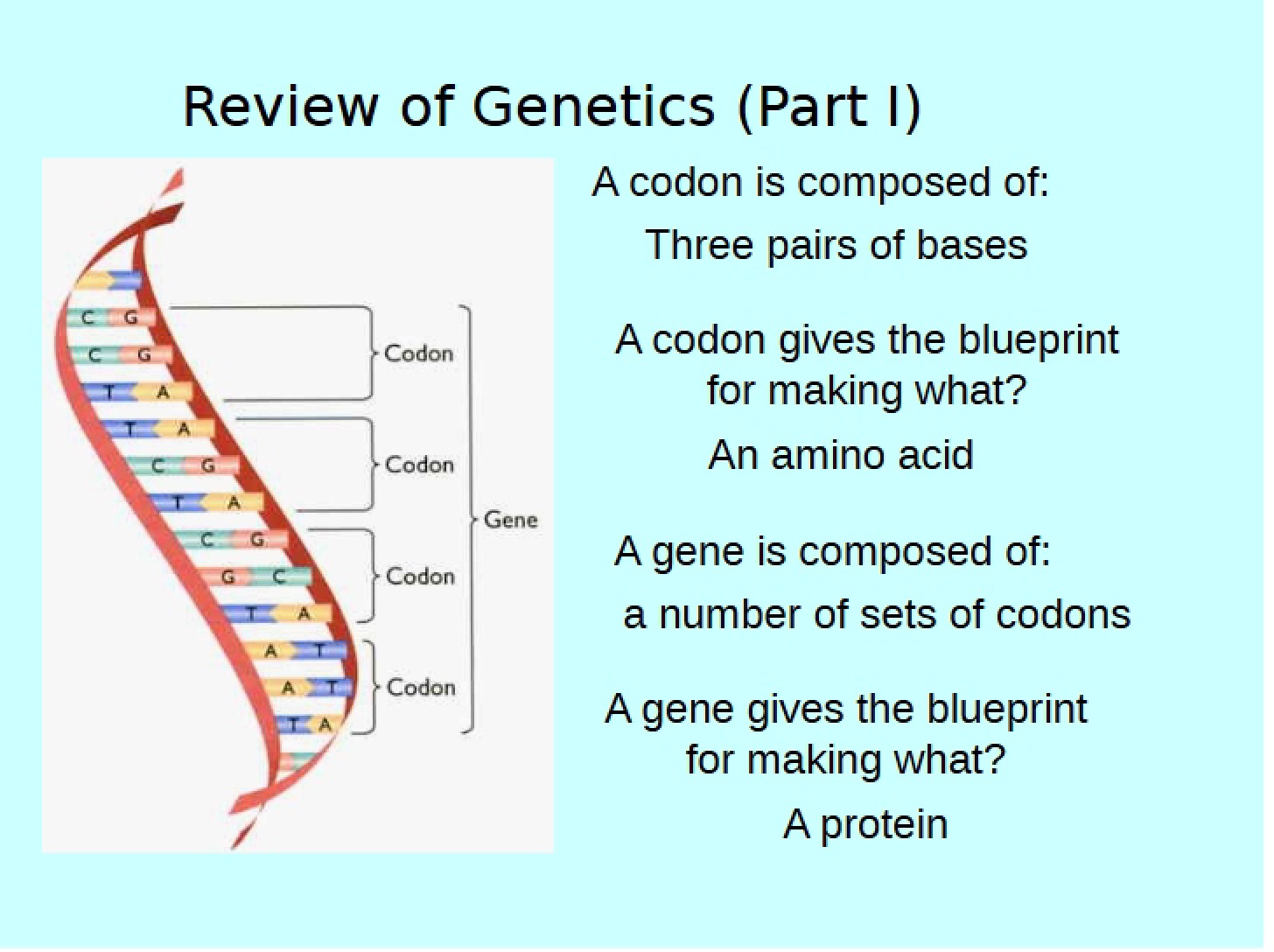 2011 Review of Genetics I