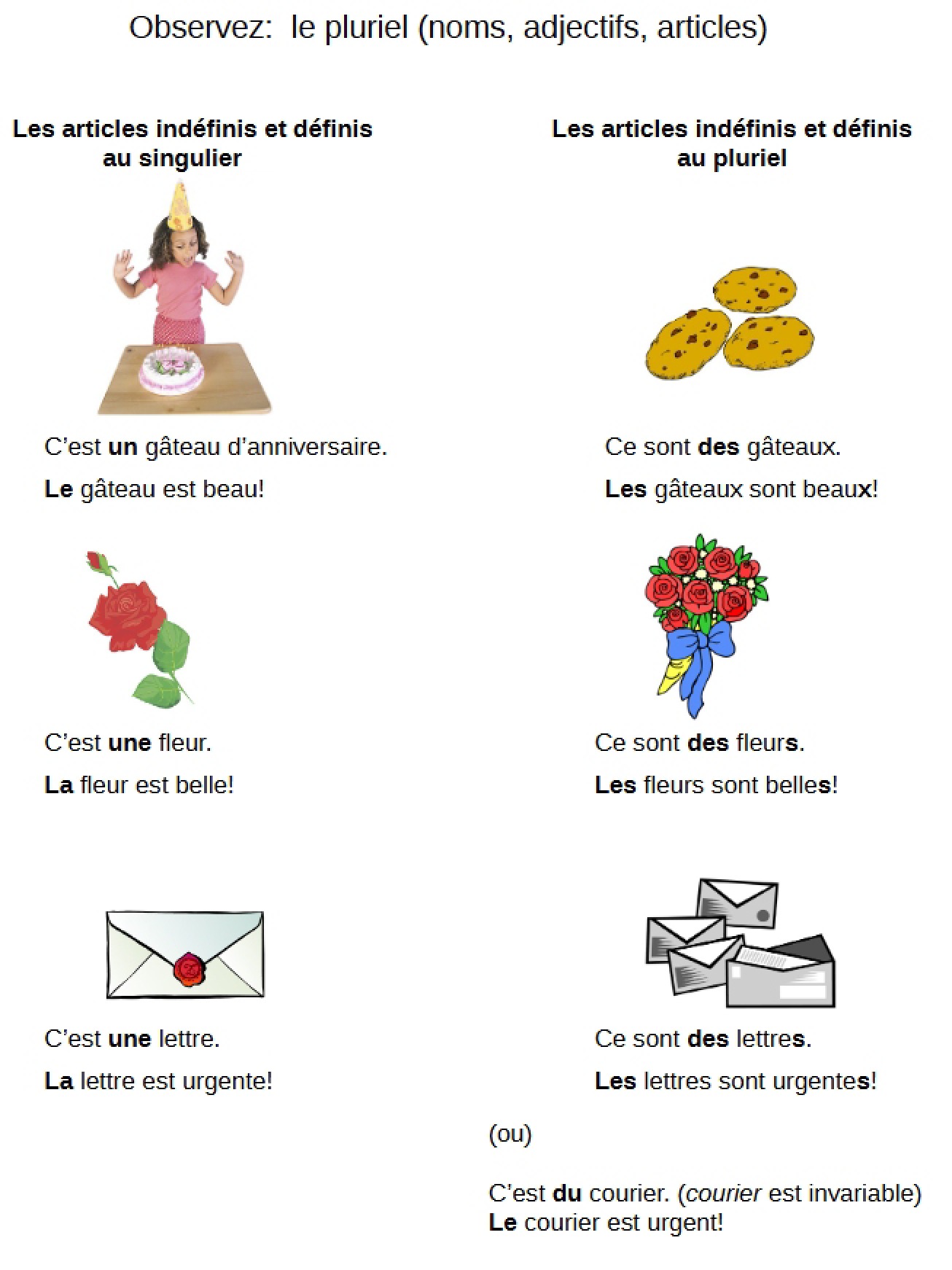French Study Notes